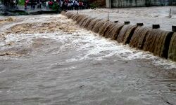 जिले में 24 घंटे में 20 मिमी बारिश दर्ज जिले में 24 घंटे में 20 मिमी बारिश दर्ज