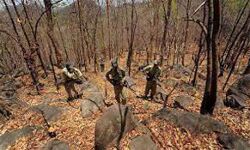 पुलिस और नक्सलियों की मुठभेड़ में 2 नक्सली ढेर पुलिस और नक्सलियों की मुठभेड़ में 2 नक्सली ढेर