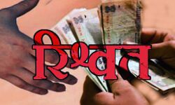 वन अनुभाग अधिकारी हजारों की रिश्वत लेते गिरफ्तार