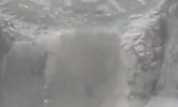 पानी से आफत-पवित्र अमरनाथ गुफा के समीप फटा बादल पानी से आफत-पवित्र अमरनाथ गुफा के समीप फटा बादल