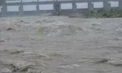 हथिनी कुंड बैराज से यमुना में छोड़ा पानी-किसानों की फसलें लबालब हथिनी कुंड बैराज से यमुना में छोड़ा पानी-किसानों की फसलें लबालब