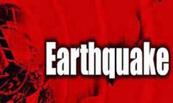 भूकंप के जोरदार झटके - 41 लोग घायल