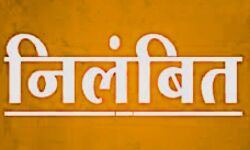 शासकीय कार्य में लापरवाही बरतने पर पटवारी निलंबित