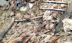 कच्चे मकान गिरने से मवेशी सहित 3 की मौत