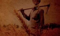 किसानों का 50 हजार से कम का ऋण होगा माफ किसानों का 50 हजार से कम का ऋण होगा माफ