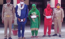 शादी कराने वाले गिरोह का खुलासा- दुल्हन बनी महिला सहित 3 अरेस्ट शादी कराने वाले गिरोह का खुलासा- दुल्हन बनी महिला सहित 3 अरेस्ट