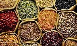 शक्कर महंगी, खाद्य तेलों में नरमी, मसूर में गिरावट, दाल, चावल सामान्य शक्कर महंगी, खाद्य तेलों में नरमी, मसूर में गिरावट, दाल, चावल सामान्य