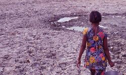 देश में 255 जिलों में जल संकट की स्थिति देश में 255 जिलों में जल संकट की स्थिति