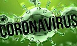 कोरोना के सक्रिय केस 600 से कम