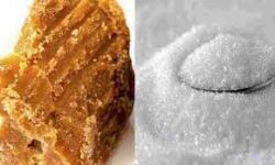 मुजफ्फरनगर मंडी में शीतगृह गुड़ चाकू व चीनी के भाव मुजफ्फरनगर मंडी में शीतगृह गुड़ चाकू व चीनी के भाव