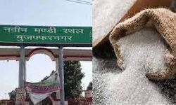 मुजफ्फरनगर मंडी में शीतगृह गुड़ चाकू व चीनी के भाव मुजफ्फरनगर मंडी में शीतगृह गुड़ चाकू व चीनी के भाव