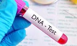 आठ साल में DNA रिपोर्ट नहीं भेजने पर अदालत का कड़ा रुख,नोटिस जारी आठ साल में DNA रिपोर्ट नहीं भेजने पर अदालत का कड़ा रुख,नोटिस जारी