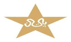 इंग्लैंड अक्टूबर में करेगा पाकिस्तान का दौरा : PCB इंग्लैंड अक्टूबर में करेगा पाकिस्तान का दौरा : PCB