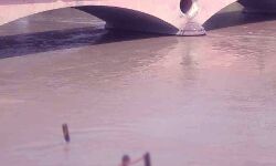 गंगनहर पर स्नान करने गए किन्नर के तीन मोबाइल फोन चोरी गंगनहर पर स्नान करने गए किन्नर के तीन मोबाइल फोन चोरी