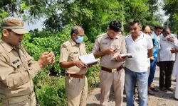 बाइक पर गिरे पेड़ ने ले ली मंदिर जा रहे मां बेटे की जान-मचा कोहराम बाइक पर गिरे पेड़ ने ले ली मंदिर जा रहे मां बेटे की जान-मचा कोहराम