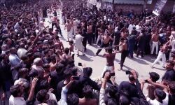 निशाने पर शिया-मोहर्रम जुलूस में बम विस्फोट-तीन की मौत-50 जख्मी निशाने पर शिया-मोहर्रम जुलूस में बम विस्फोट-तीन की मौत-50 जख्मी