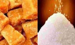 मुजफ्फरनगर मंडी में शीतगृह गुड़ चाकू व चीनी के भाव मुजफ्फरनगर मंडी में शीतगृह गुड़ चाकू व चीनी के भाव