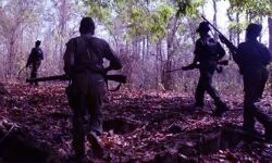 नारायणपुर में हुआ नक्सली हमला-आईटीबीपी के 2 जवान शहीद नारायणपुर में हुआ नक्सली हमला-आईटीबीपी के 2 जवान शहीद