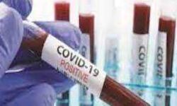 कोरोना के 185 नये मामले