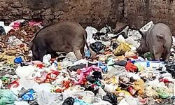 स्वच्छ भारत मिशन के तहत मुजफ्फरनगर फेल- योगी के मंत्री ने जताई थी नाराजगी