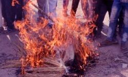 जुलूस निकालकर किया विरोध प्रदर्शन-फूंक दिया शायर मुनव्वर राणा का पुतला जुलूस निकालकर किया विरोध प्रदर्शन-फूंक दिया शायर मुनव्वर राणा का पुतला