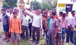 एक रुपए लौकी 2 रूपये किलो लगाए भिंडी के दाम तो सड़क पर फेंक दी सब्जियां