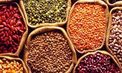 दलहनों के साथ दालों में जोरदार तेजी दलहनों के साथ दालों में जोरदार तेजी