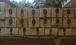 पुलिस ने पकड़ी 32 लाख रूपये की अवैध शराब पुलिस ने पकड़ी 32 लाख रूपये की अवैध शराब