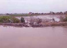 सरयू की बाढ़ से सैकड़ों बीघा जमीन जलमग्न