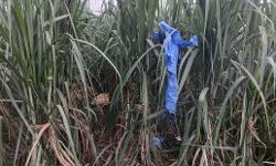 हाय री लापरवाही-प्रयोग की गई कोरोना किट खेत में मिलने से हड़कंप