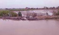 सरयू की बाढ़ से सैकड़ों बीघा जमीन जलमग्न