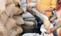 गजब-लखपति किसान भी बने गरीब-ले रहे मुफ्त में गेहूं और चावल गजब-लखपति किसान भी बने गरीब-ले रहे मुफ्त में गेहूं और चावल