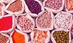 खाद्य तेल, चीनी और अनाज में टिकाव, चना दाल में 150 की तेजी खाद्य तेल, चीनी और अनाज में टिकाव, चना दाल में 150 की तेजी