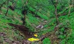 खाई में गिरी बाइक पेड़ में फंसी - सवारों को सुरक्षित निकाला खाई में गिरी बाइक पेड़ में फंसी - सवारों को सुरक्षित निकाला