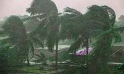 तूफान से मरने वालों की संख्या 11 हुई तूफान से मरने वालों की संख्या 11 हुई