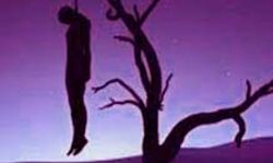 किशोरी समेत दो लोगों के शव पेड़ पर लटके मिले किशोरी समेत दो लोगों के शव पेड़ पर लटके मिले