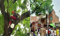 समस्याओं के निराकरण की मांग को लेकर पेड़ पर चढ़ा वीरू-छूटे पसीने समस्याओं के निराकरण की मांग को लेकर पेड़ पर चढ़ा वीरू-छूटे पसीने