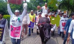 भैंसा बुग्गी में सवार होकर पहुंचे रालोद कार्यकर्ता-महंगाई पर किया हंगामा भैंसा बुग्गी में सवार होकर पहुंचे रालोद कार्यकर्ता-महंगाई पर किया हंगामा