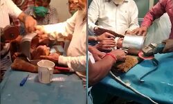 परिजनों की लापरवाही-कुकर में फंसी मासूम की जान-मुश्किलों से लौटी सांसे परिजनों की लापरवाही-कुकर में फंसी मासूम की जान-मुश्किलों से लौटी सांसे