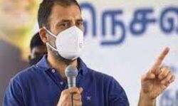 गैस, पेट्रोल और डीजल से कमाए 23 लाख करोड़ का हिसाब दे सरकार : राहुल
