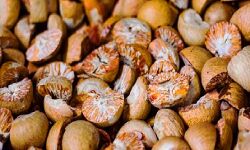 दफ्तर या दुकान के बगेर ही कागजों में खरीदकर बेच दी 25 करोड की सुपारी दफ्तर या दुकान के बगेर ही कागजों में खरीदकर बेच दी 25 करोड की सुपारी