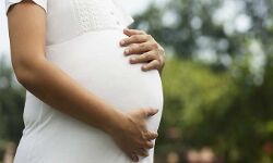 गर्भवती महिलाओं की सेंटर बदलने संबंधी याचिका का निपटारा गर्भवती महिलाओं की सेंटर बदलने संबंधी याचिका का निपटारा