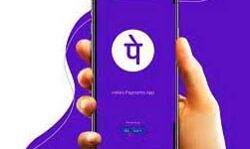 फोनपे ने लॉन्च की इंटरैक्टिव वेबसाइट पल्स