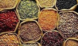 शक्कर महंगी, खाद्य तेलों में नरमी, दलहनो में गिरावट, दाल- चावल सामान्य शक्कर महंगी, खाद्य तेलों में नरमी, दलहनो में गिरावट, दाल- चावल सामान्य