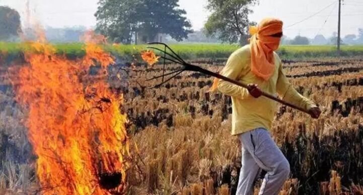फसलों के अवशेष जलाने वाले किसानों से होगी जुर्माना वसूली-टीम गठित
