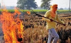 फसलों के अवशेष जलाने वाले किसानों से होगी जुर्माना वसूली-टीम गठित फसलों के अवशेष जलाने वाले किसानों से होगी जुर्माना वसूली-टीम गठित