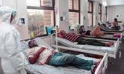 नहीं थम रहा है बुखार का प्रकोप नहीं थम रहा है बुखार का प्रकोप