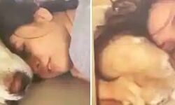 वीडियो हुई वायरल- अभिनेत्री ने की डॉग की किश- यूजर बोला कर लो शादी