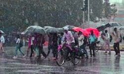 अगले 48 घंटों में भारी बारिश का अनुमान अगले 48 घंटों में भारी बारिश का अनुमान