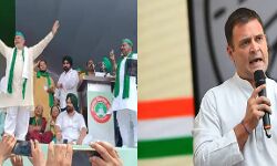 निडर होकर डटे किसान की सरकार को सुननी होगी बात - राहुल निडर होकर डटे किसान की सरकार को सुननी होगी बात - राहुल